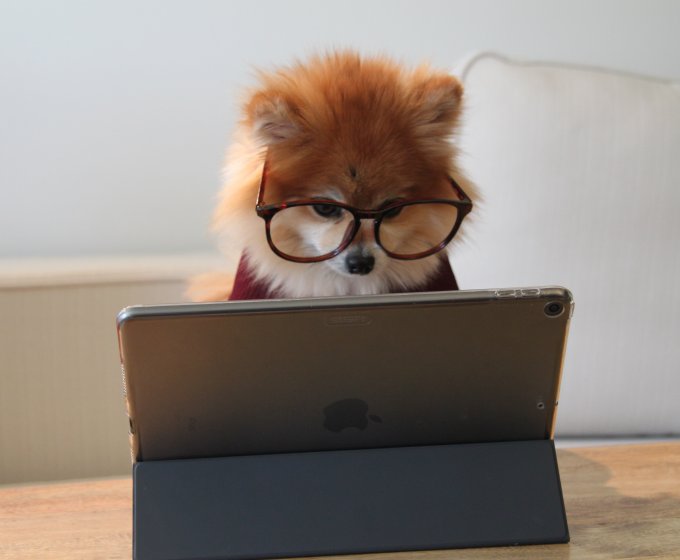 Jak rozdělit Performance Max kampaně?